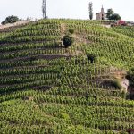 The resplendent Rhône Valley | Our selection