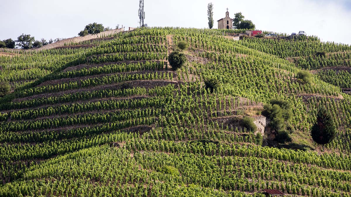 Read more about the article The resplendent Rhône Valley | Our selection