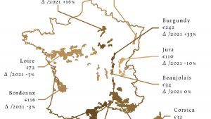 Read more about the article Best-selling wine at auction | Which regions to invest in