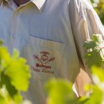 Vega Sicilia | An Iberian gem