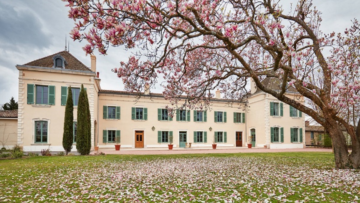 Read more about the article Château des Jacques, a bright light in Beaujolais