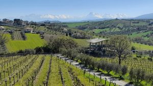 Read more about the article Azienda Emidio Pepe, Abruzzo’s living wine archive