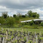 The ups and downs of Bordeaux’s 2021 vintage