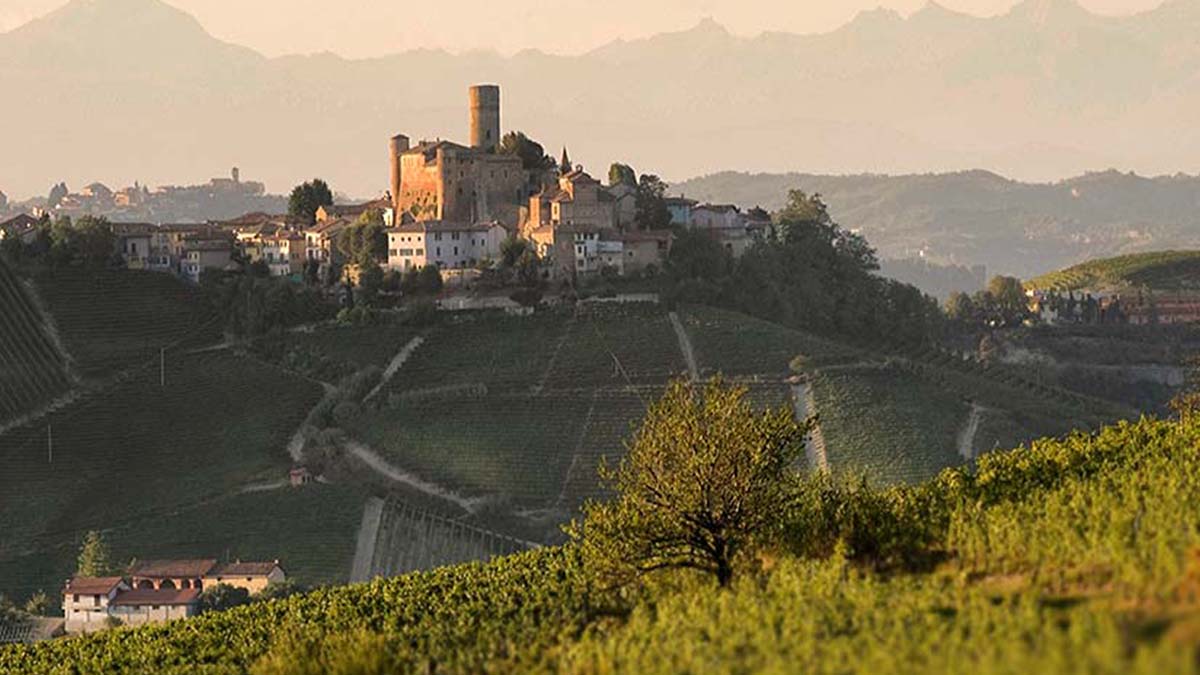 Read more about the article Bella Italia, our must-have Italian wines