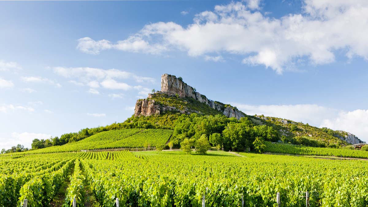 Read more about the article Beaujolais, Mâconnais, Côte Chalonnaise: understated brilliance