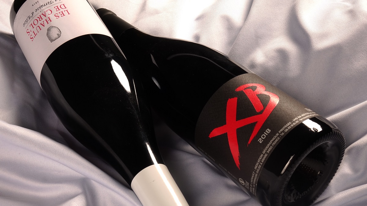 Read more about the article Domaine de la Terrasse d’Elise, a leading light of Languedoc