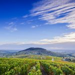 Beaujolais’ Fleurie and Morgon appellations, a quick guide