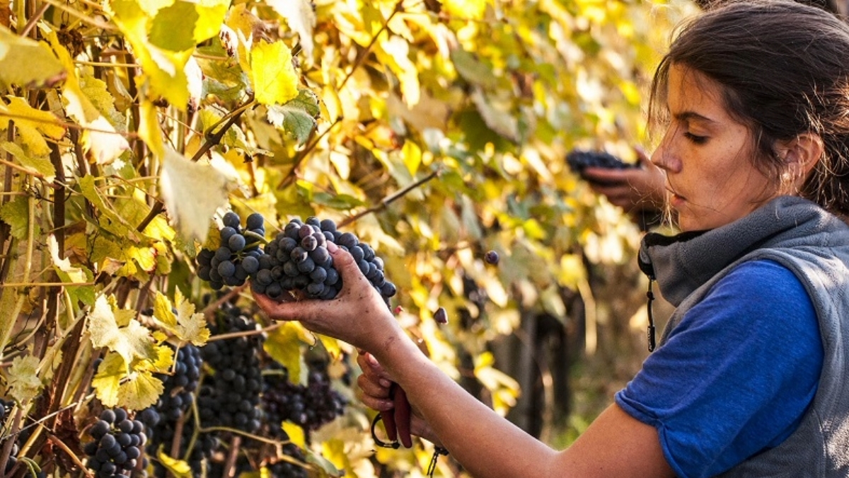 Read more about the article Giulia Negri | ‘I was known as the Barolo girl’