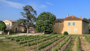 Read more about the article Domaine de Rimauresq, an instant hit from Provence