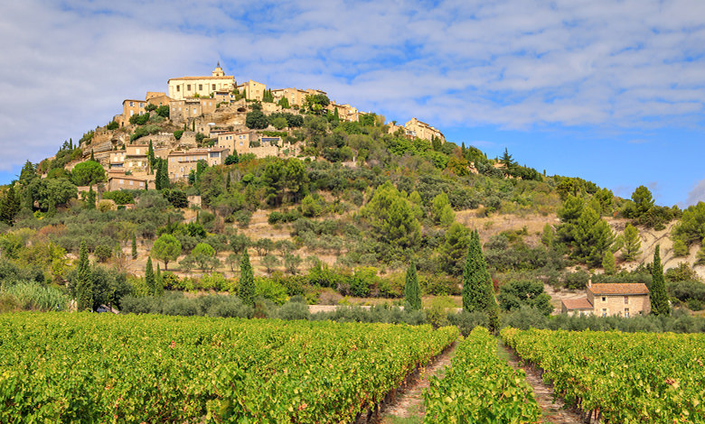 provence vineyard