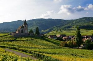 Read more about the article Hammer Price Analysis | Alsace Wines, Ranked