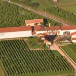 Domaine des Pothiers | Wine from the source of the Loire