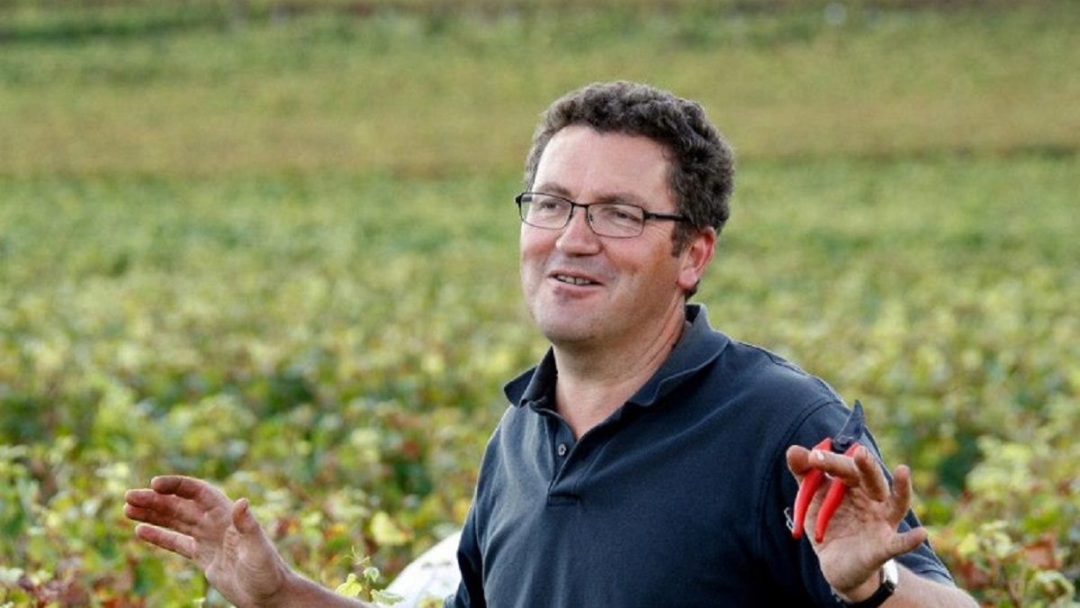 Read more about the article Spotlight on Domaine Lucien Boillot in Burgundy