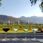 New releases: gems to keep the summer vibes going