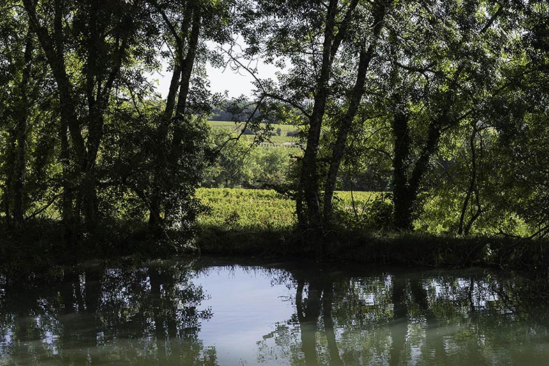 Chateau Le Puy ponds