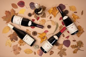 Read more about the article Auction Favourites | Mature Fine Wine to Usher in the Autumn