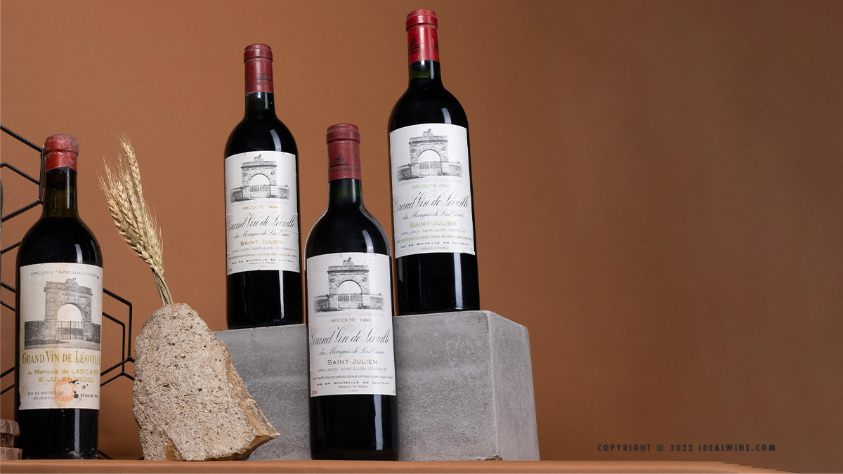 Read more about the article The history of Médoc with Léoville Las Cases & a special catalogue