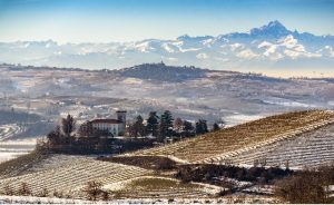 Christmas Barolo