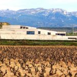 Bodega Contador: A dazzling destiny