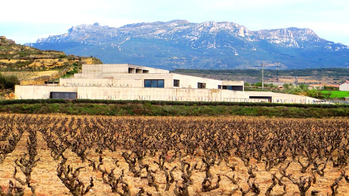 Read more about the article Bodega Contador: A dazzling destiny