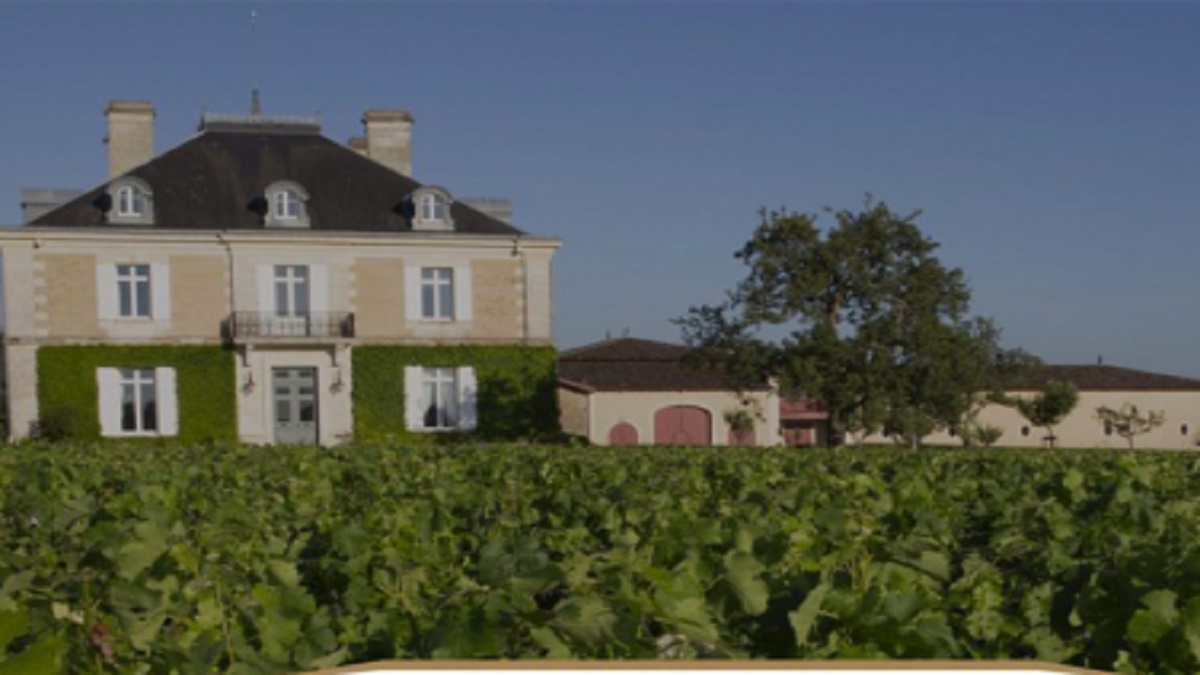 Read more about the article Château Haut-Bailly: a Graves gem standing between tradition and modernity