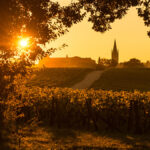 Bordeaux | 10 reasons to be enticed