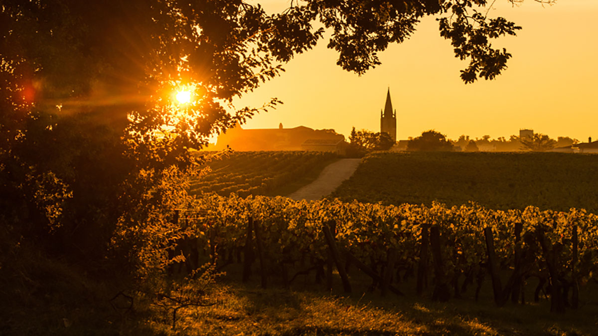 Read more about the article Bordeaux | 10 reasons to be enticed