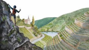 Read more about the article The northern Rhône Valley and its steep slopes