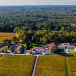 2020 Bordeaux: A plentiful vintage