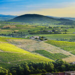 The 10 crus of Beaujolais
