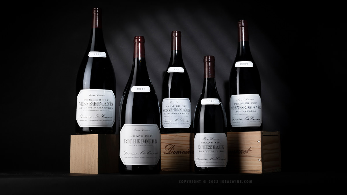 Read more about the article <strong>A recap of the unprecedented Domaine Méo-Camuzet auction</strong>