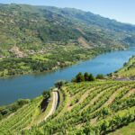 Port: The iDealwine Guide