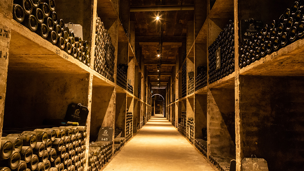 En Primeur 2022 The best wines for cellaring Le blog iDealwine