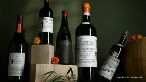 Read more about the article New auction | Grandi Vini Italiani