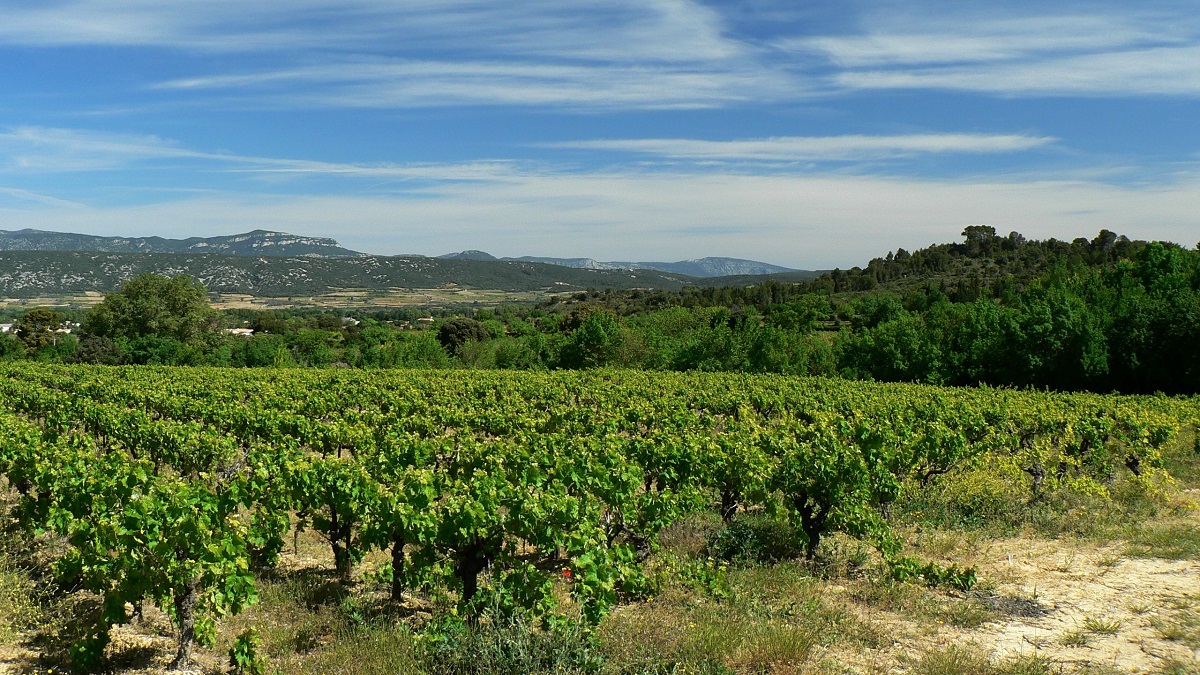 Read more about the article Our new Languedoc-Roussillon partner domains