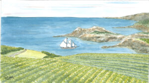 Read more about the article The Provençal dream | Sun, sea and fantastic wines