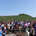 A day in the vines: The iDealwine team on the banks of the Loire