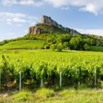 Mâconnais | The iDealwine guide