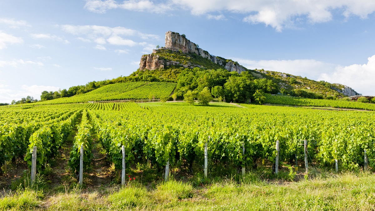 Read more about the article Mâconnais | The iDealwine guide