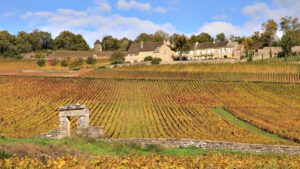 Read more about the article Côte Chalonnaise: The Golden Age for Givry wines