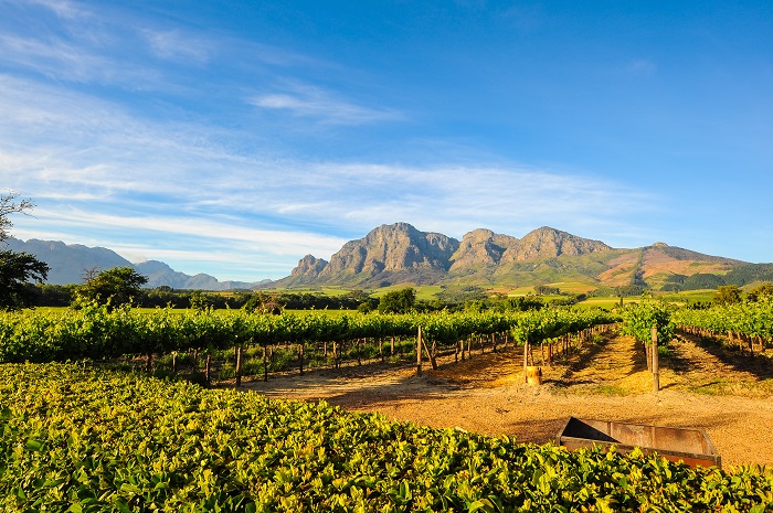 Stellenbosch in South Africa