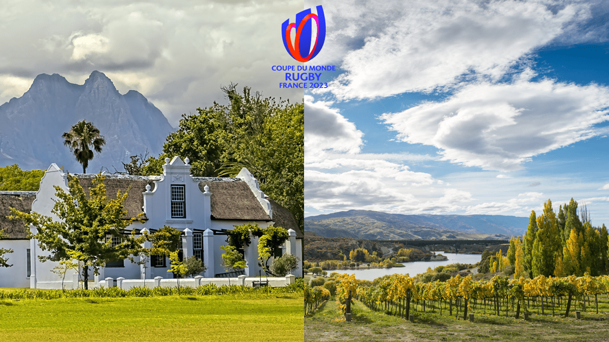 Read more about the article What wines to drink while watching the 2023 Rugby World Cup Final?