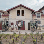 Château Pontet-Canet, Pauillac’s biodynamic masterpiece