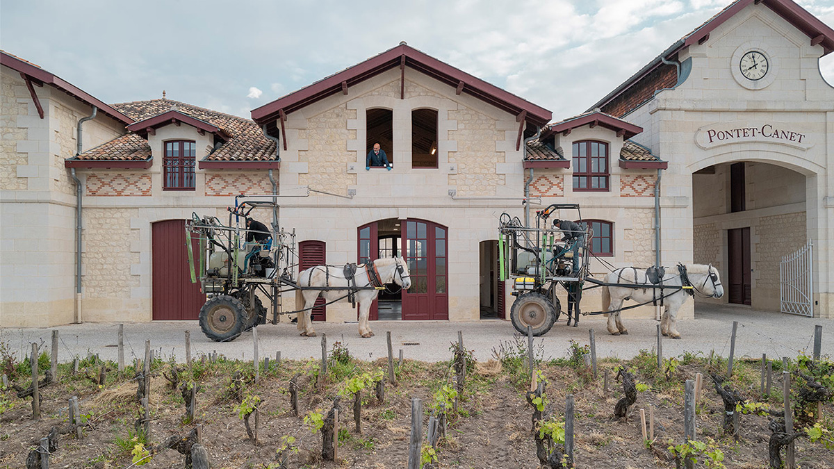 Read more about the article Château Pontet-Canet, Pauillac’s biodynamic masterpiece