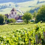 Bubblicious treats from iDealwine: 5 Champagne estates that only connoisseurs know