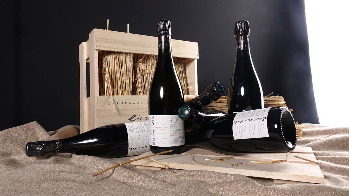 Read more about the article October 2023 Auction Report | Bubbling rare Champagnes