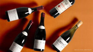 Read more about the article Dinner party pairing ideas – What to pair with the finest of wines?