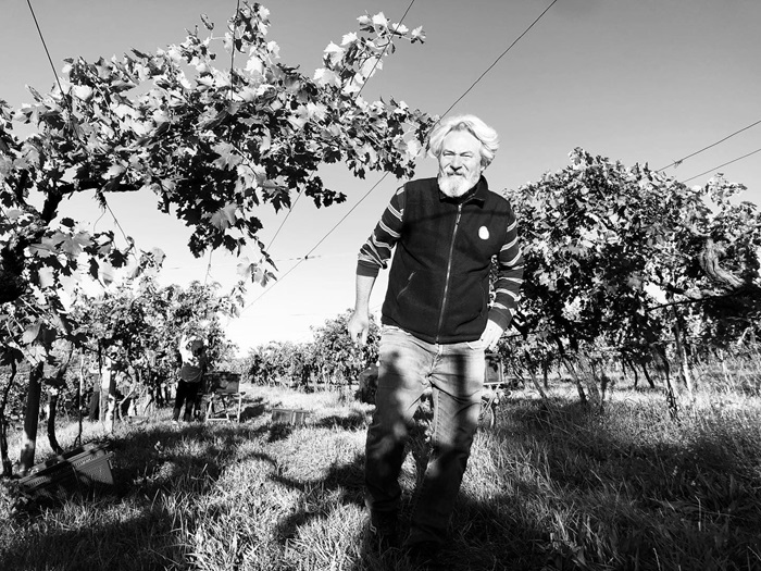 Filippo Filippi with his vines in Italy