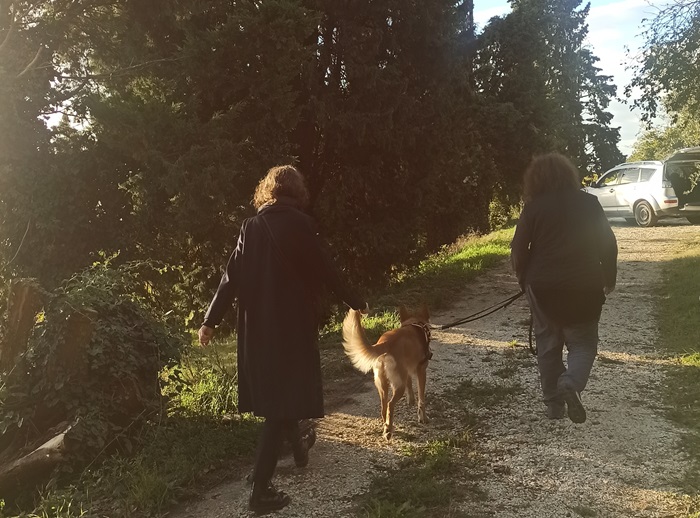 Eloïse, Paola and the dog on the way to see Filippi's vines