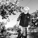 Filippo Filippi, breaking new ground in Soave  